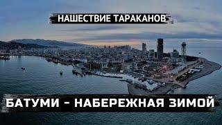 Квартира С Тараканами  Зимняя Набережная В Батуми  Сайт Для Поиска Квартир