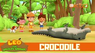 Why is the CROCODILE upside down?  Leo the Wildlife Ranger Spinoff S3E11  @mediacorpokto