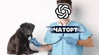 Вы НЕ ПОВЕРИТЕ Что ChatGpt Сделает С Вашим Котом