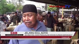 JELANG IDUL ADHA PENJUALAN HEWAN KURBAN MENINGKAT