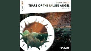 Tears Of The Fallen Angel Extended Mix