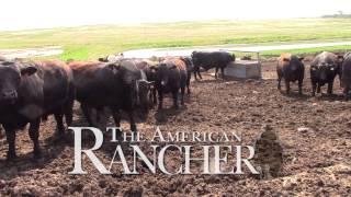 American Rancher - American Simmental Association