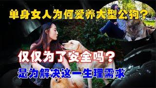 獨居女孩為何愛養大型犬？僅僅為了保護自己嗎？真實目的嚇了一跳