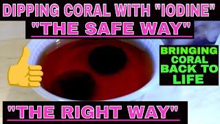 Iodine Coral Dip - How To Heal Coral - Using Iodine Safely