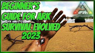 Ark Survival Beginners Guide 2024