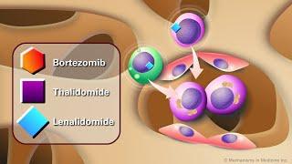 Novel Anti-Cancer Agents for Multiple Myeloma