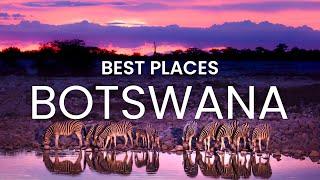 Botswana  African Safari Vlog  Best Places to Visit Botswana  Botswana Travel #travel #vlog