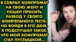  Я собрал компромат на свою жену и пошел просить развод у своего влиятельного тестя. Но войдя в