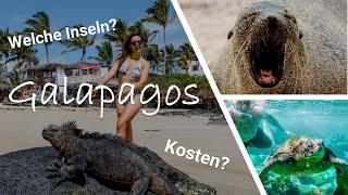 GALAPAGOS INSELN URLAUB  Kosten Highlights & Tipps für 1 Woche Inselhopping