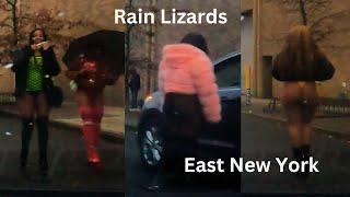 Rain Lizards - East New York