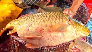 Amazing Big Carp Fish Cutting Skills Live  Incredible Fish Cutting Skills