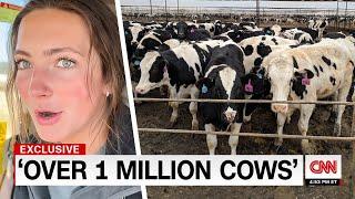 The BIGGEST Dairy Farms In The World REVEALED..