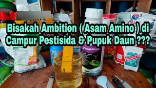 Bisakah Ambition di Campur Pestisida & Pupuk Daun ???  Uji Coba Pencampuran Ambition