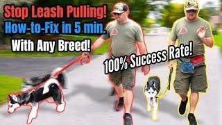 STOP Leash Pulling with ANY BREED Right NOW  SO EASY