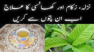 NazlaZukam Or Khansi Ka Ilaj - In Urdu\Hindi  Cough Cold And Flu Remedy  Cook With Nuzhat  Kehwa