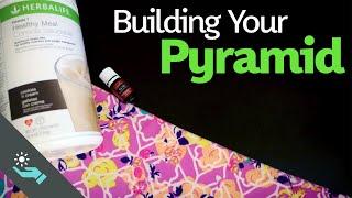 Building Your Pyramid  Multi-Level Marketing