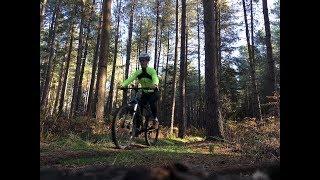 Cycling in Thetford Forest