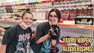 AİLEMİZİN YENİ KIZI PRENSES LUI İÇİN PETSHOP ALIŞVERİŞİ YAPTIK YAVRU KÖPEK ALIŞVERİŞİ EYLÜL LAL