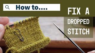 How To Fix Dropped Stitch NO Crochet Hook Knitting Tutorial