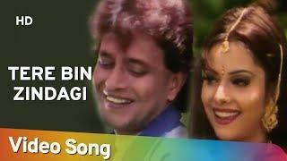 Tere Bin Zindagi HD  Heeralal Pannalal 1999  Mithun Chakraborty  Bollywood Romantic Song