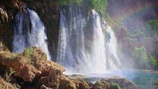 Live - Havasupai Waterfall with Relaxing Nature Sounds for Better Sleep