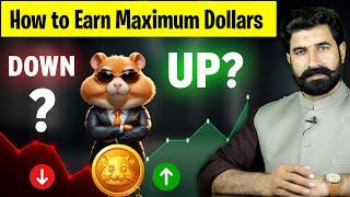 How to Earn Maximum Dollars  Hamster Kombat New Update  Hamster Kombat Token Transfer  Albarizon