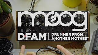 A love letter to the Moog DFAM that also explains it