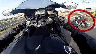 Honda Cbr600rr vs Honda Cbr1000rr  Wheelie  1000rr Acceleration