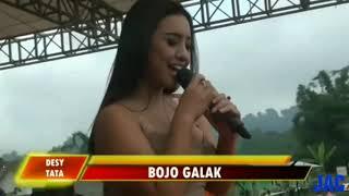 Bojo Galak  Desy Tata Cover