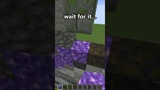 Minecraft What in the Million Dollar Baby did I just see?  #Shorts