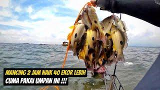 Umpan Mancing Ikan Tompel Anti Boncoz Di Jamin Auto Strike 