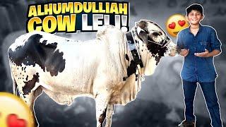 FINALLY COW MILGYI  ALHUMDULILLAH SODA HOGYAMandi 2022 Vlog  Vampire YT