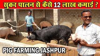 । Pig Farming । सुकर पालन से कैसे 12 लाख कमाई ? ।।  Sukar Palan Kaise karen ? ।