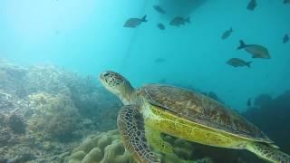 Visit the Great Barrier Reef  Great Barrier Reef Marine Park Authority