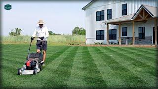 Do You Really NEED A REEL MOWER??  Masport Rotarola Rear Roller Striping Lawn Mower