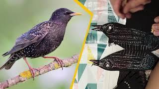 The Ornithorium Starling Decoration with Hannah Postlethwaite