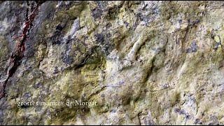 GROTTES MARINES DE MORGAT  Un paseo por las rocas de Crozon  Microdocumental geológico.