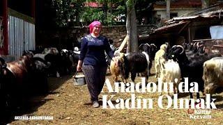 Anadolu köylerinde Kadın Olmak- Fatime Bacının Köy Hayatı ve Doğal Yaşam