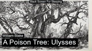 A Poison Tree Ulysses  by William Blake Black Screen For Sleeping