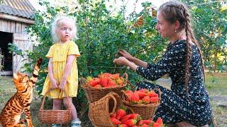 What RUSSIANS make from BERRIES? The Ulengovs family life in the Russian village
