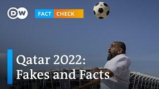 Qatar 2022 Facts and fakes about the World Cup  Fact Check