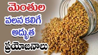 Health benefits of fenugreek Methi - Mana Arogyam Telugu Health Tips