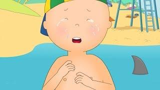 Caillou takes a swim  Funny Animated cartoon for Kids  Cartoon Caillou l Cartoon Movie