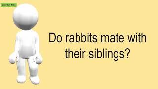 Do Rabbits Mate With Their Siblings?