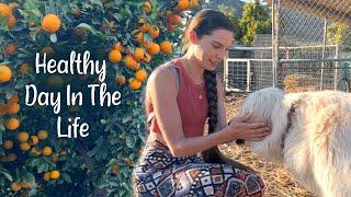 MY VISIT TO AN ORGANIC FARM Ab workout Juicing and Sow a Heart Farm