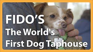 Eat Drink and Adopt at Fidos - the Worlds First Dog Tap House