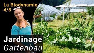 La Biodynamie – Jardinage  Version courte 48