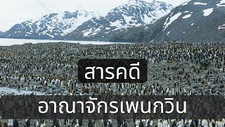 สารคดี อาณาจักรเพนกวิน