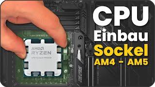 AMD Ryzen CPU einbauen - auf Sockel AM4 & AM5 z.B. 7950x3d - 7800x3d - 5800x3d usw.