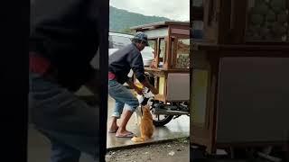 sehat selalu orang baik#viral #shorts #short #tiktok